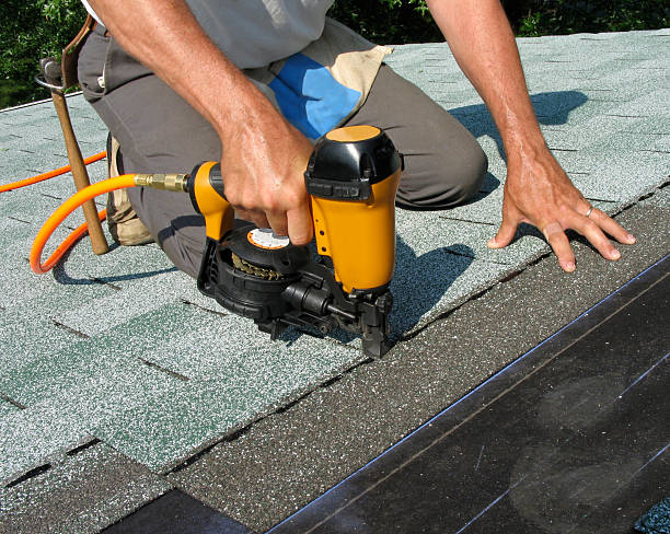 Best Roof Gutter Cleaning  in Tyndall, SD