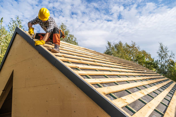 Best Roof Leak Repair  in Tyndall, SD